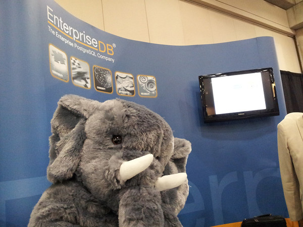 The Elephant is in the house...