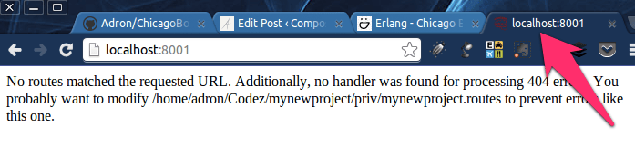 Hitting http://localhost:8001