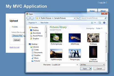 Selecting an Image to Put in The Junk Trunk