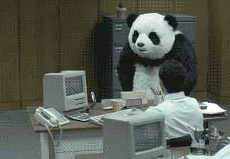 giphy (3)