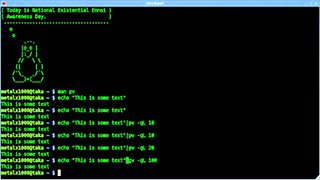 Startup Things – How Ya Linux Series – 0000